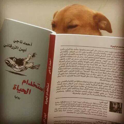 10703791_563500500447774_1872834144255459015_n