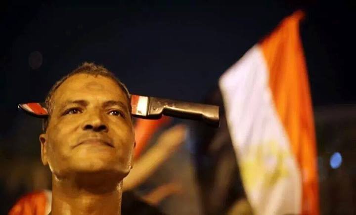 10441419_10154259881305541_553298798796366136_n